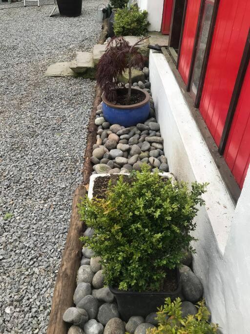 Stone Wall Cottage Castlewellan Kültér fotó